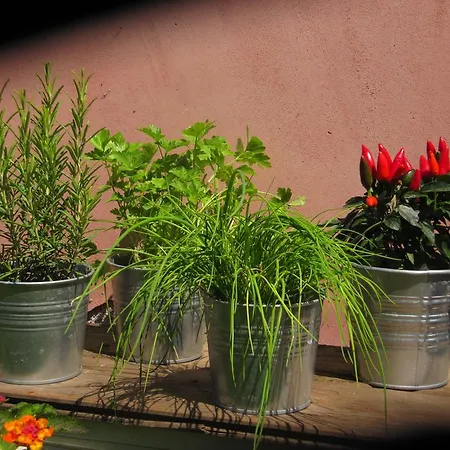 Terre Del Cardinale Country شقة *